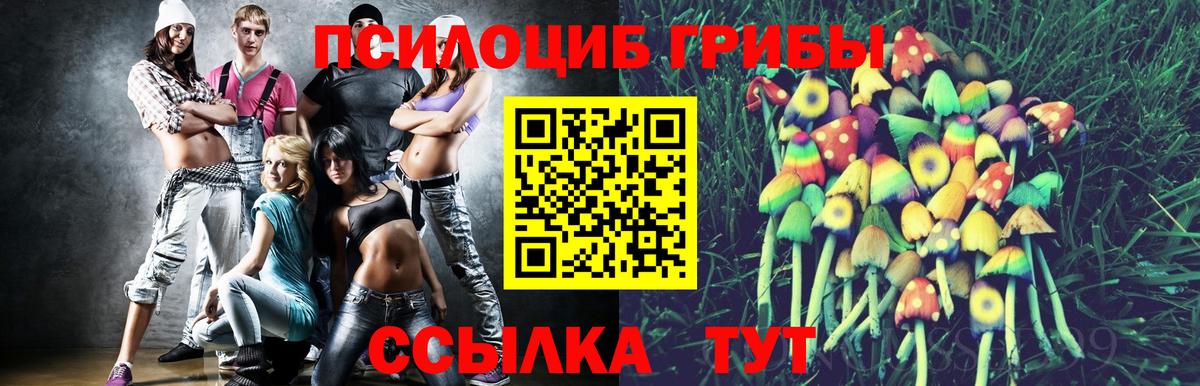 Галлюциногенные грибы GOLDEN TEACHER  Вход с VPN  Киселёвск  купить наркотик  Псилоцибиновые грибы Cubensis 