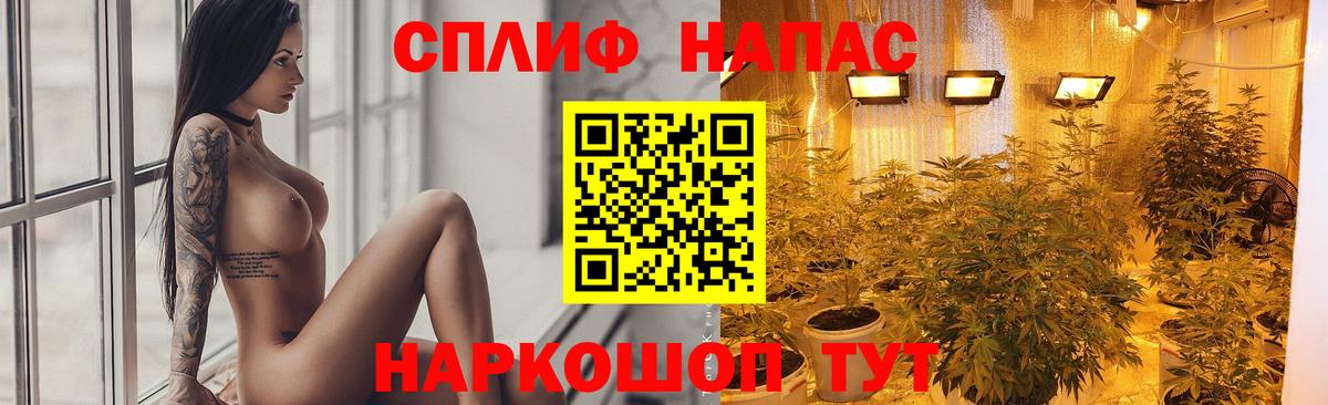 Конопля White Widow  Конопля THC 21%  Вход с VPN  Киселёвск 